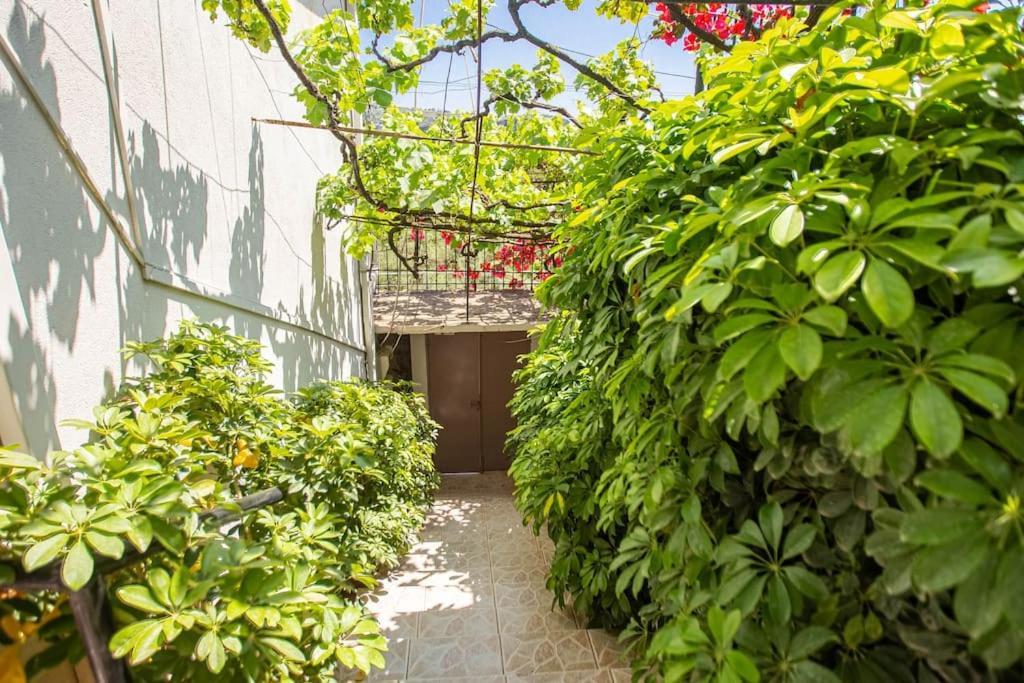 Blue Maraci 4 - Access, Simple Apartamento *