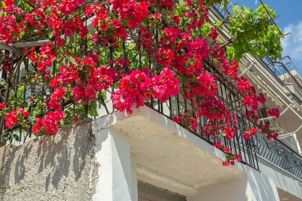 Blue Maraci 4 - Access, Simple Apartamento